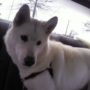 Meet your Posher, Cheryl